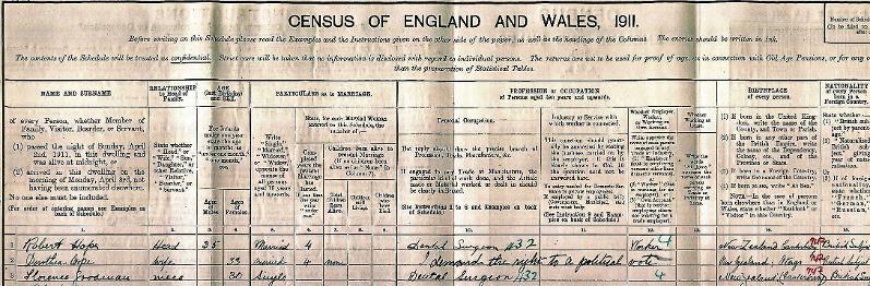 1911 census: suffragette demands the vote,Westwood Family History, Family History Research and Genealogy 